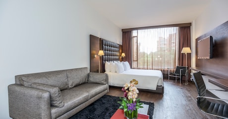 Room Habitación Premium